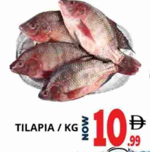 available at اكسبرس المدينة هايبرماركت in الإمارات العربية المتحدة , الامارات - أبو ظبي