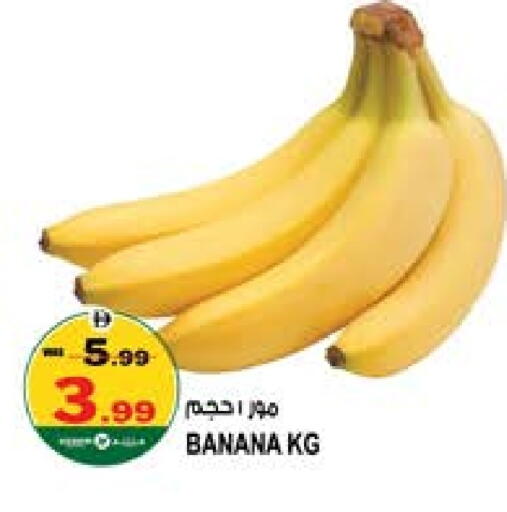 موز available at هاشم هايبرماركت in الإمارات العربية المتحدة , الامارات - الشارقة / عجمان