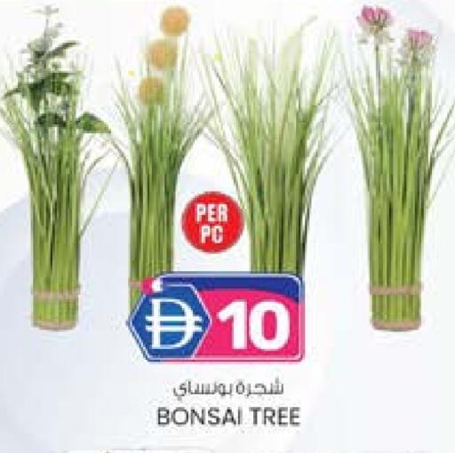 available at ك. الم. للتجارة in الإمارات العربية المتحدة , الامارات - دبي