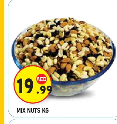 available at سنابل بني ياس in الإمارات العربية المتحدة , الامارات - أبو ظبي