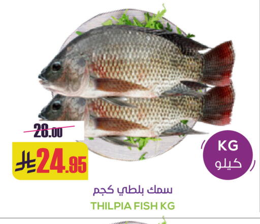 available at سبت in مملكة العربية السعودية, السعودية, سعودية - بريدة