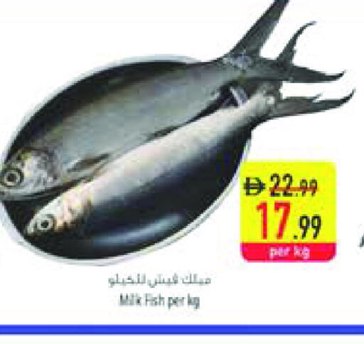 available at السفير ماركت in الإمارات العربية المتحدة , الامارات - رَأْس ٱلْخَيْمَة