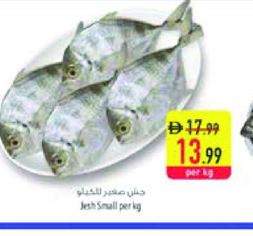 available at السفير ماركت in الإمارات العربية المتحدة , الامارات - رَأْس ٱلْخَيْمَة