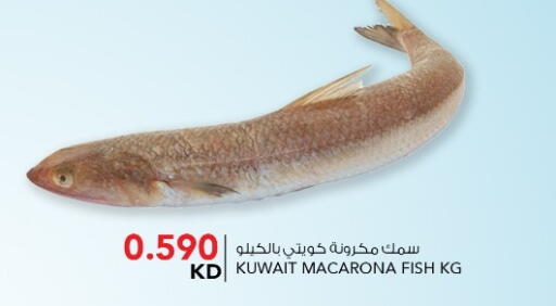 available at  ALNASSER HYPERMARKET in Kuwait - Ahmadi Governorate