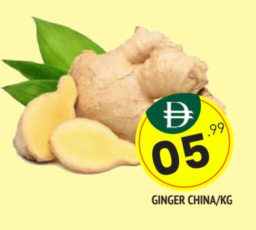 زنجبيل from China available at المدينة in الإمارات العربية المتحدة , الامارات - الشارقة / عجمان