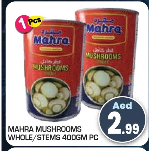 available at سنابل بني ياس in الإمارات العربية المتحدة , الامارات - أم القيوين‎