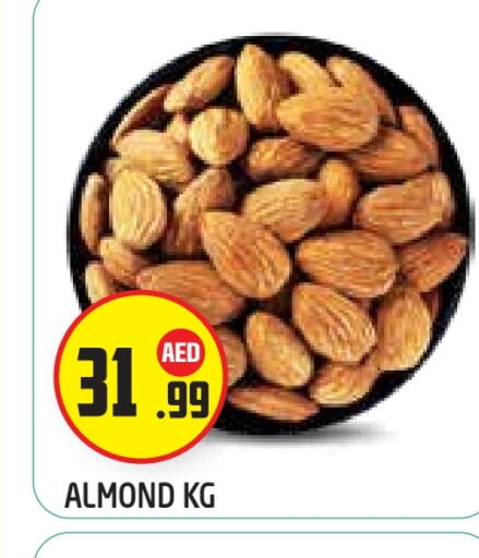 available at سنابل بني ياس in الإمارات العربية المتحدة , الامارات - أبو ظبي