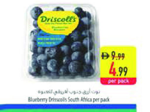 Blueberry BlueBerry from South Africa available at السفير ماركت in الإمارات العربية المتحدة , الامارات - الشارقة / عجمان