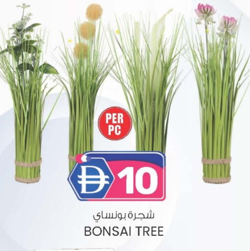 available at صفا اكسبريس سوبرماركت in الإمارات العربية المتحدة , الامارات - ٱلْعَيْن‎