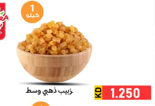 available at شركة سوق ميم المركزي  in الكويت - محافظة الأحمدي