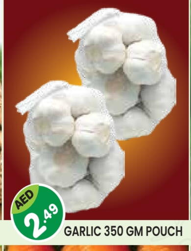 ثوم available at سنابل بني ياس in الإمارات العربية المتحدة , الامارات - أم القيوين‎