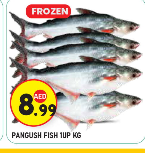 available at سنابل بني ياس in الإمارات العربية المتحدة , الامارات - ٱلْعَيْن‎