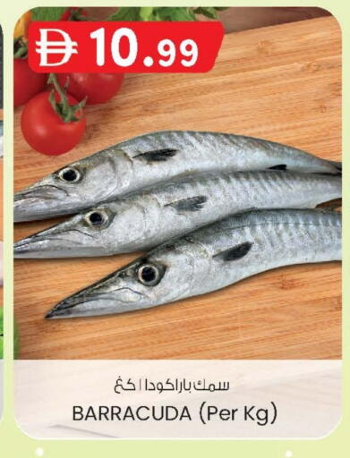 available at ك. إم. هايبرماركت in الإمارات العربية المتحدة , الامارات - أبو ظبي