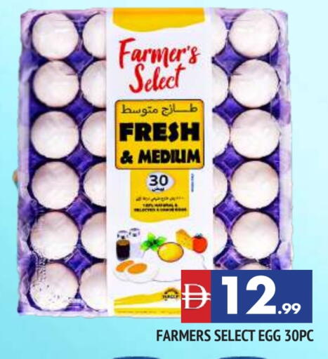 available at المدينة in الإمارات العربية المتحدة , الامارات - الشارقة / عجمان