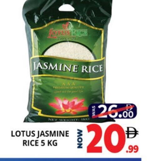 أرز ياسمين available at اكسبرس المدينة هايبرماركت in الإمارات العربية المتحدة , الامارات - أبو ظبي