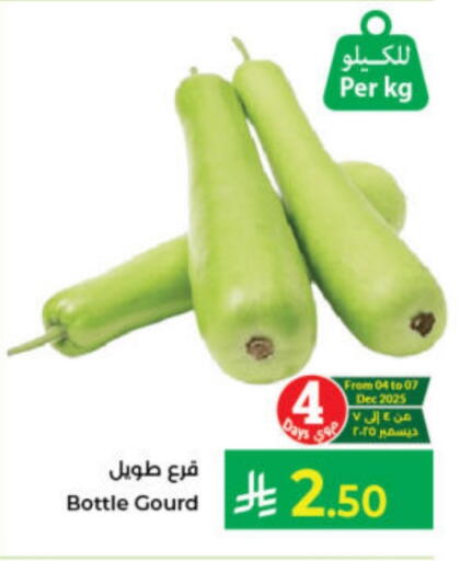 Gourd available at Kabayan Hypermarket in KSA, Saudi Arabia, Saudi - Jeddah