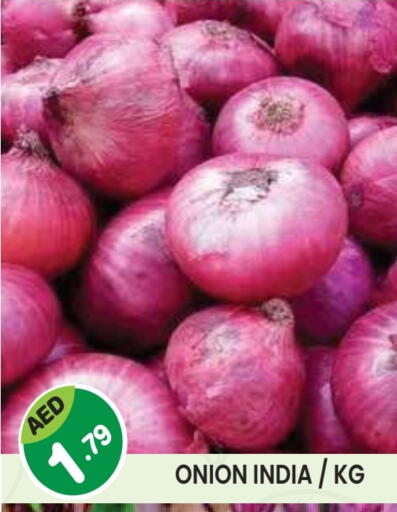 بصل from India available at سنابل بني ياس in الإمارات العربية المتحدة , الامارات - أم القيوين‎