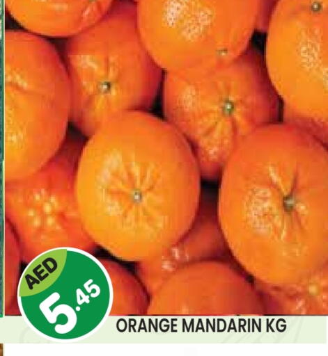 برتقال available at سنابل بني ياس in الإمارات العربية المتحدة , الامارات - أبو ظبي