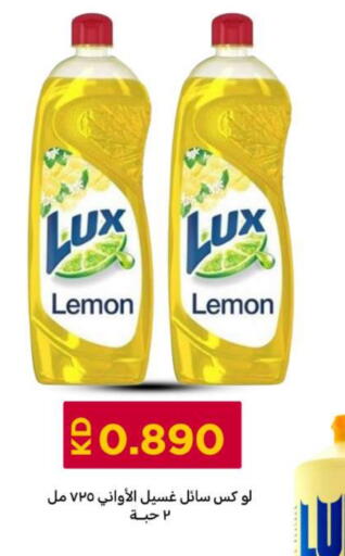 Lemon available at شركة سوق ميم المركزي  in الكويت - محافظة الجهراء