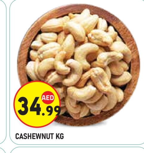 available at سنابل بني ياس in الإمارات العربية المتحدة , الامارات - أبو ظبي