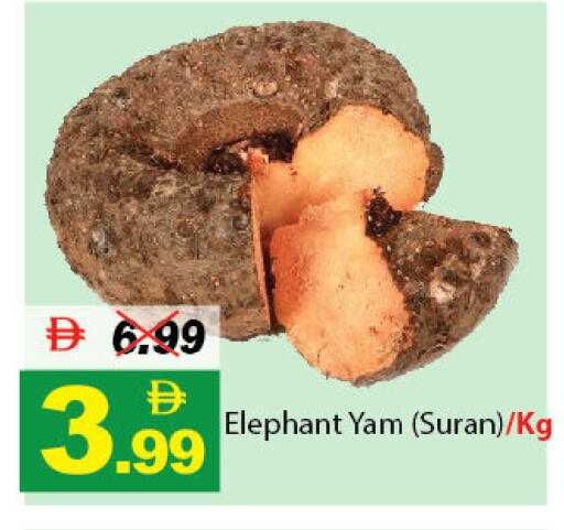 available at ديزرت فريش ماركت in الإمارات العربية المتحدة , الامارات - أبو ظبي