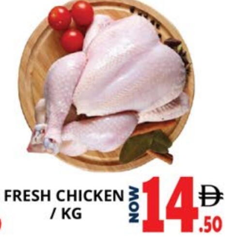 دجاج كامل طازج available at اكسبرس المدينة هايبرماركت in الإمارات العربية المتحدة , الامارات - أبو ظبي
