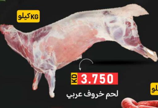 available at Meem Central Market Co in Kuwait - Ahmadi Governorate