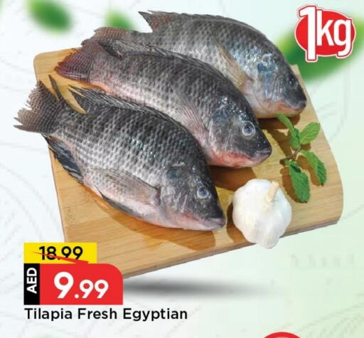 Chilli available at مارك & سيف in الإمارات العربية المتحدة , الامارات - الشارقة / عجمان