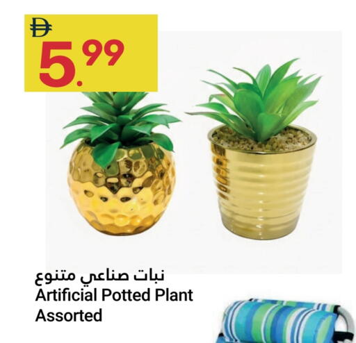 available at Grand Emirates Market in UAE - Abu Dhabi