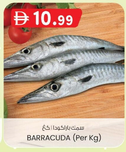 available at صفا هايبر in الإمارات العربية المتحدة , الامارات - ٱلْعَيْن‎