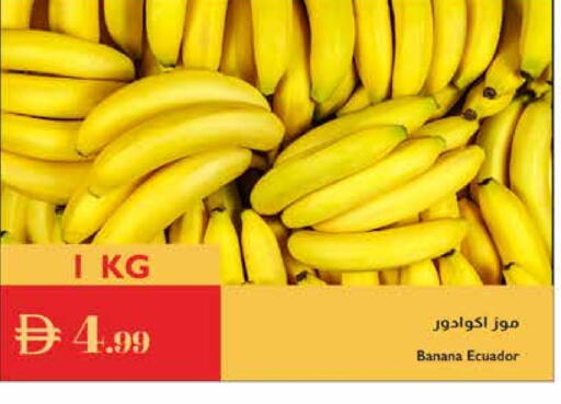 موز from Ecuador available at إسطنبول سوبرماركت in الإمارات العربية المتحدة , الامارات - ٱلْعَيْن‎