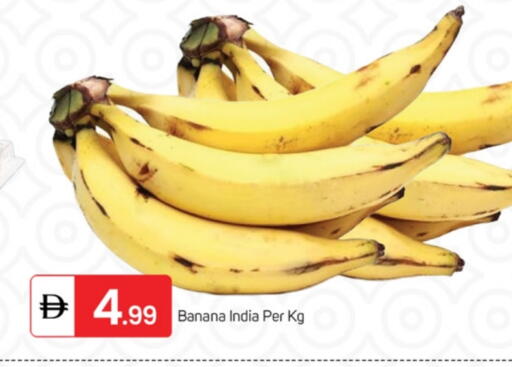 موز from India available at سوق طلال in الإمارات العربية المتحدة , الامارات - ٱلْفُجَيْرَة‎