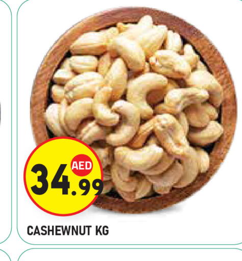 available at سنابل بني ياس in الإمارات العربية المتحدة , الامارات - أبو ظبي