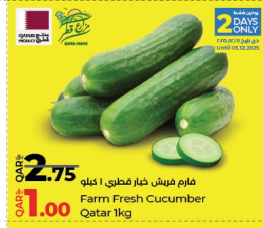 Cucumber from Qatar available at LuLu Hypermarket in Qatar - Al Wakra