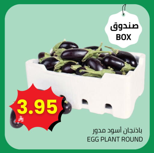 available at Astra Markets in KSA, Saudi Arabia, Saudi - Tabuk