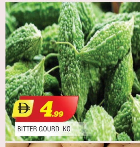 Gourd available at AL MADINA in UAE - Sharjah / Ajman