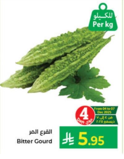 Gourd available at Kabayan Hypermarket in KSA, Saudi Arabia, Saudi - Jeddah