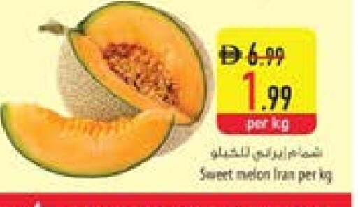 Melon from Iran available at السفير ماركت in الإمارات العربية المتحدة , الامارات - ٱلْفُجَيْرَة‎