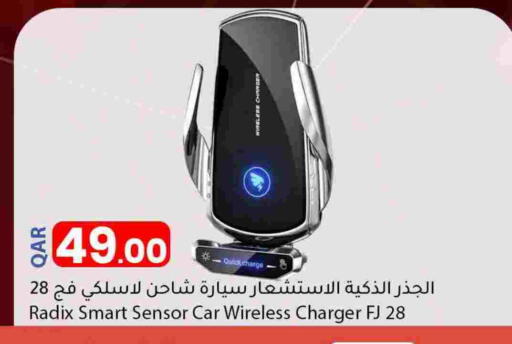 Car Charger available at Dana Market in Qatar - Umm Salal