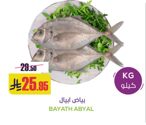 available at Sapt in KSA, Saudi Arabia, Saudi - Buraidah