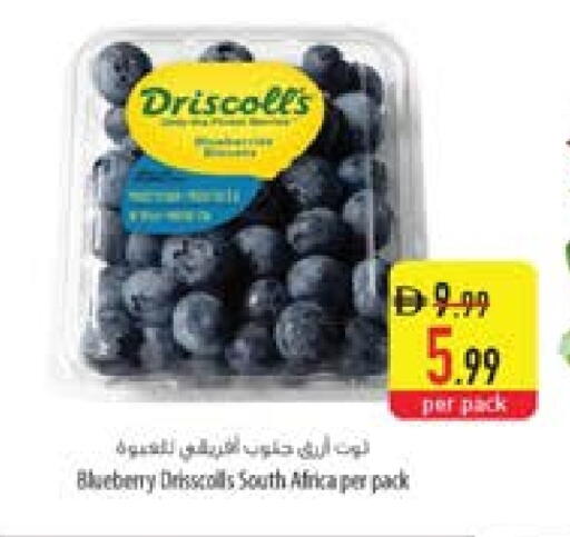 Blueberry BlueBerry from South Africa available at السفير ماركت in الإمارات العربية المتحدة , الامارات - أم القيوين‎