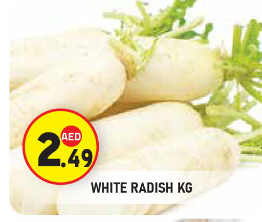 Radish available at سنابل بني ياس in الإمارات العربية المتحدة , الامارات - ٱلْعَيْن‎