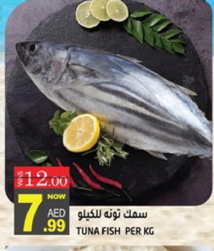 تونة available at هاشم هايبرماركت in الإمارات العربية المتحدة , الامارات - الشارقة / عجمان