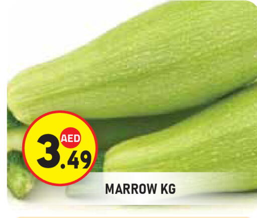 Marrow available at سنابل بني ياس in الإمارات العربية المتحدة , الامارات - ٱلْعَيْن‎