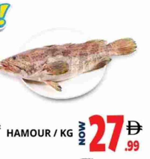 available at اكسبرس المدينة هايبرماركت in الإمارات العربية المتحدة , الامارات - أبو ظبي