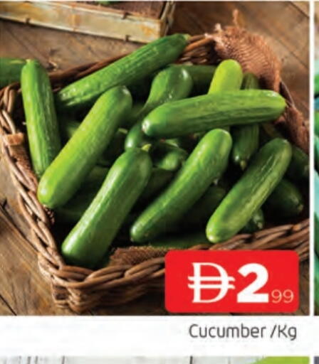 خيار available at المدينة in الإمارات العربية المتحدة , الامارات - الشارقة / عجمان