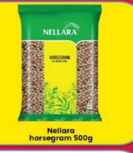 available at GSY Cash & Carry Supermarket in UAE - Dubai