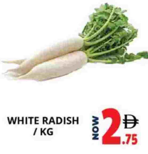 Radish available at اكسبرس المدينة هايبرماركت in الإمارات العربية المتحدة , الامارات - أبو ظبي