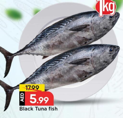 available at مارك & سيف in الإمارات العربية المتحدة , الامارات - الشارقة / عجمان