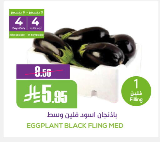 Eggplant available at Sapt in KSA, Saudi Arabia, Saudi - Buraidah